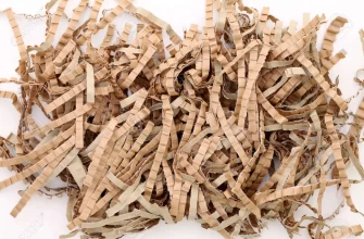 5 tips on how to shred cardboard for compost