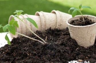 how long is potting soil good for: Step-by-step
