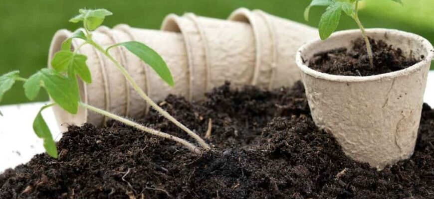 how long is potting soil good for: Step-by-step