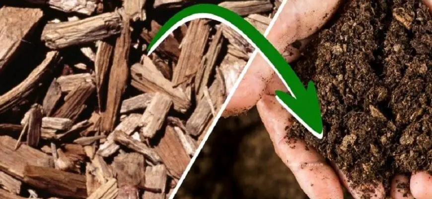 How To Compost Wood Chips Fast: Step-By-Step-Guide & Tips