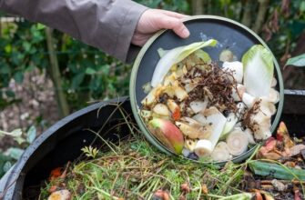 Put Moldy Food In Compost: Helpful Tips & Recommendations