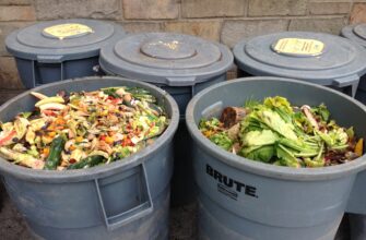 5 answers on can you compost cheese - try facts