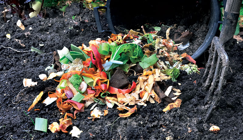 trench composting 00 161674781