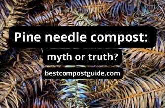 How to make a pine needle compost: the best guide