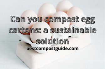 Can you compost egg cartons? The best solutions 2023