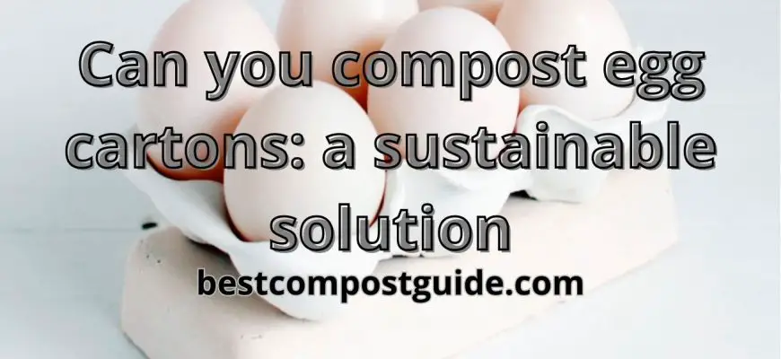 Can you compost egg cartons? The best solutions 2023