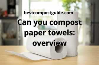Can you compost paper towels? The best overview