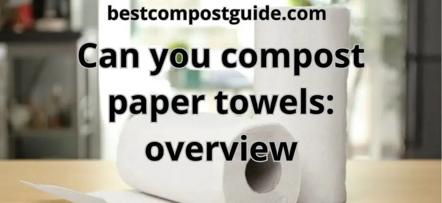 Can you compost paper towels? The best overview