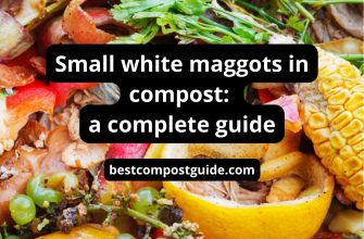 Are small white maggots in compost harmful? Best explanation