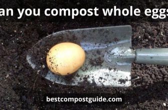 Can you compost whole eggs: top 7 tips & best guide
